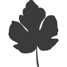 Aufmerksamkeit